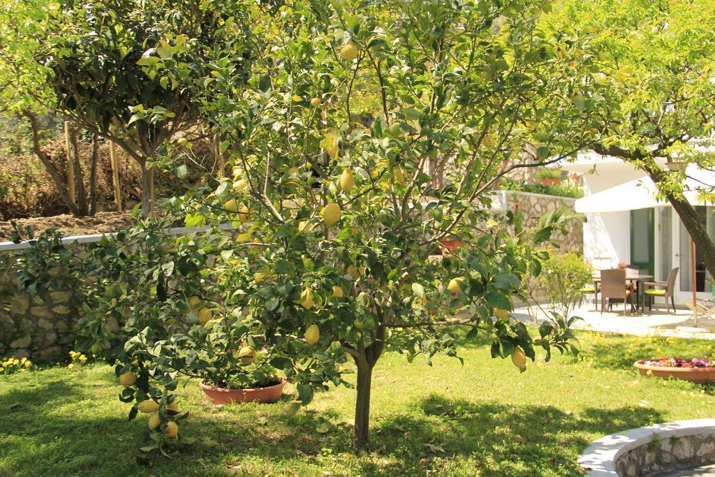 Casa Augusto B&B Capri Bagian luar foto