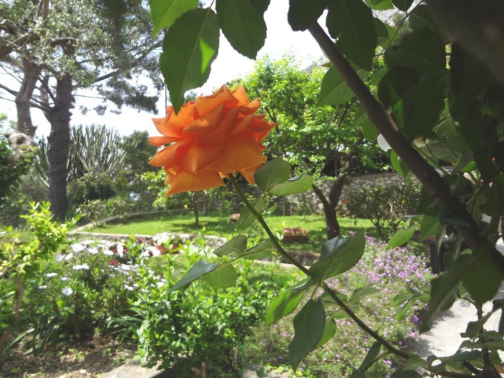 Casa Augusto B&B Capri Bagian luar foto